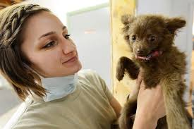 Dog Parvo Symptoms - Treatment & Prevention